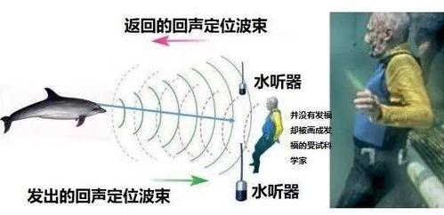 超声波和声呐有什么关系？