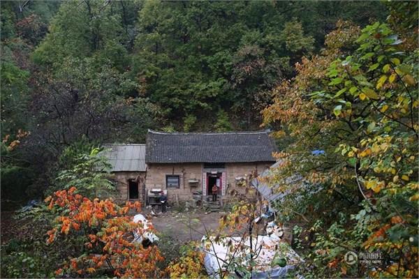 深山隐居生活，隐居深山怎么生存，隐居深山