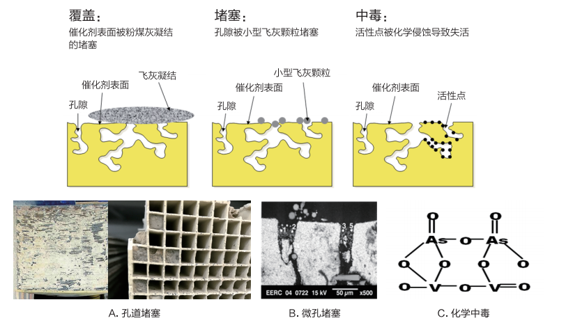 均相催化剂和多相催化剂有哪些优缺点？及其异同之处有哪些