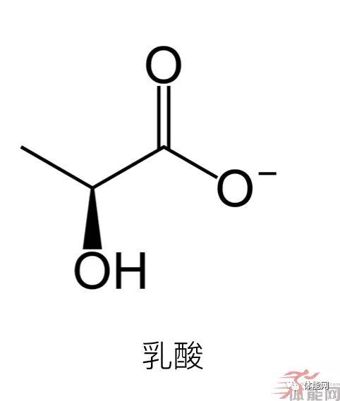 什么是乳酸？