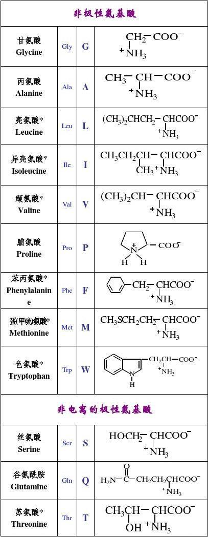 氨基酸有多少种？