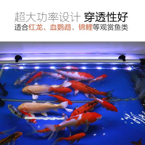 水族器材