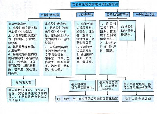 如何处理微生物实验室的废弃物