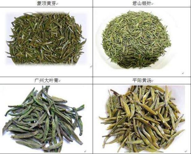 黄茶有哪些品种？