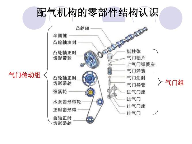 汽车发动机的气门组主要包括哪些部件？气门组的作用是什么？