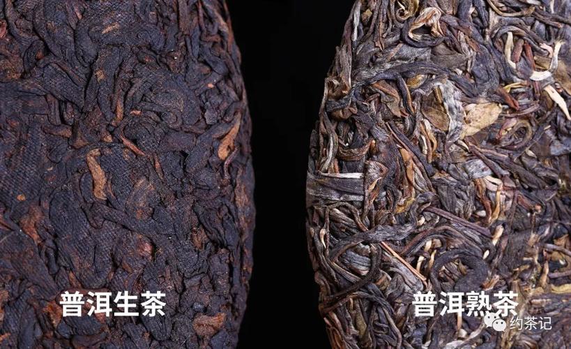 什么是普洱茶？