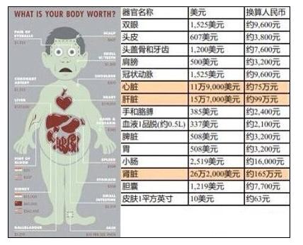 人体器官价位表的网友评论