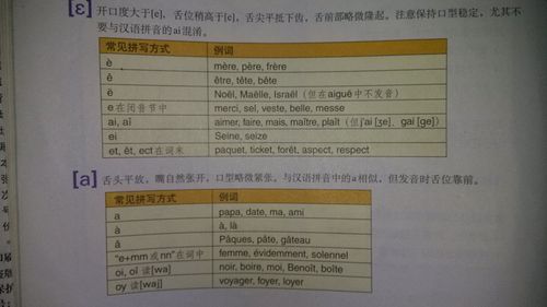 faye法语怎么读是什么意思