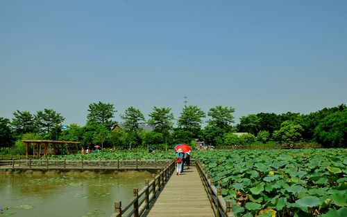 南沙湿地公园好玩不？