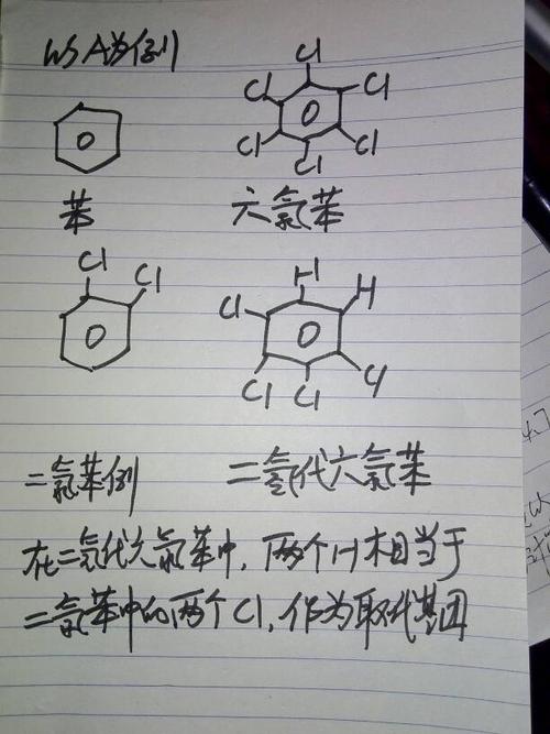 PA1010的结构式怎么写