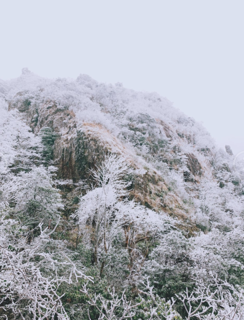 广东下雪是哪年？