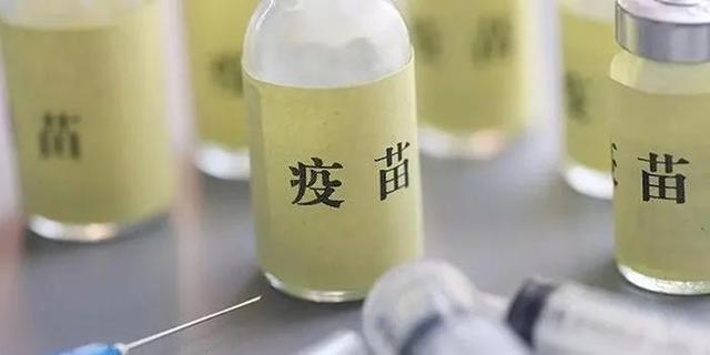 什么是疫苗和菌苗？