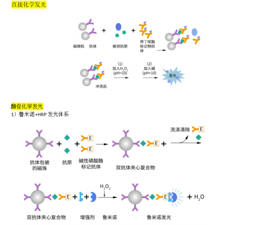 化学发光免疫分析原理是什么