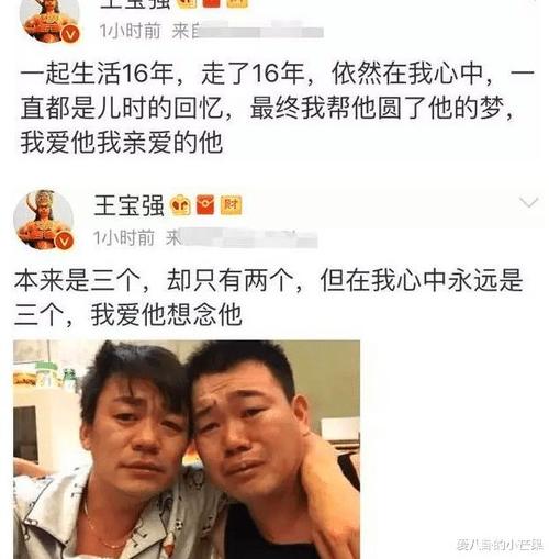 王宝强家人车祸身亡是谁