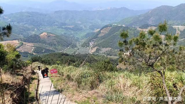 福建省的第一高峰，第二高峰，第三高峰是什么？平和县的九峰镇大芹山是福建省的第几高峰？