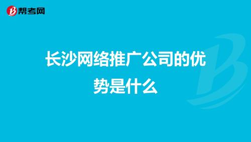 长沙有哪些网络推广做得好的大型公司