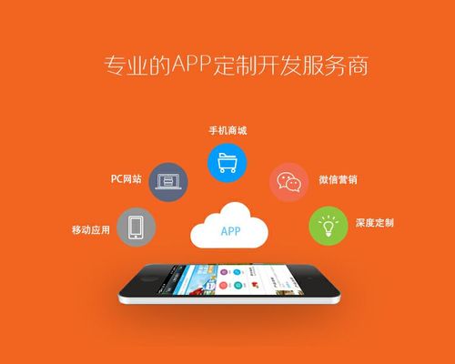 东莞APP软件开发多少钱