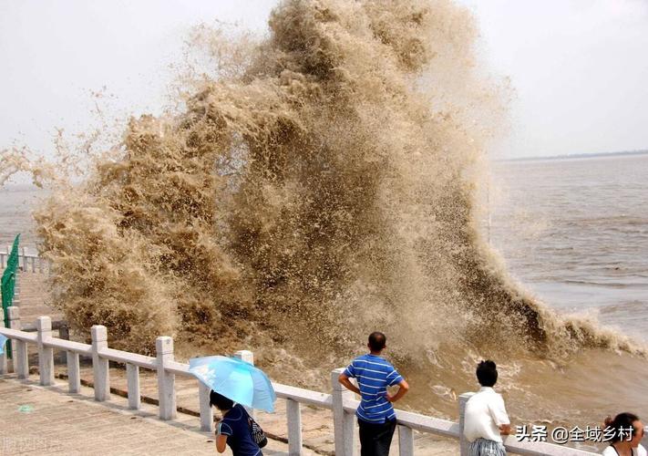 钱塘江的潮水每天什么时候来？一天来几次？