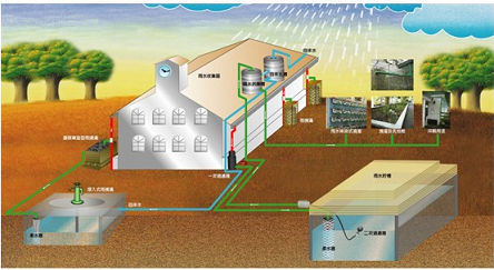 请教一下雨水管理系统有哪些？具体过程是怎样的？