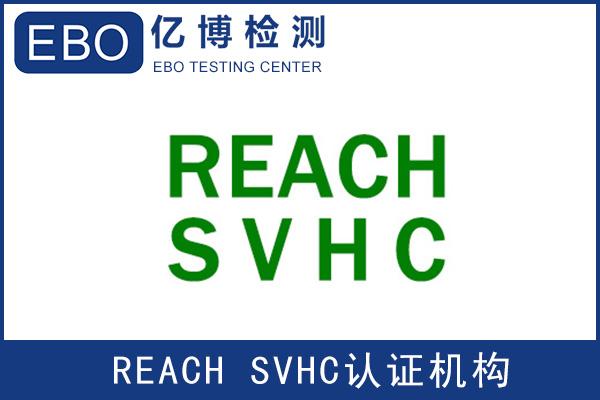 reach  标准是什么