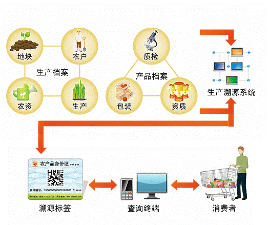 追溯系统什么意思