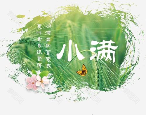 小满是什么节气