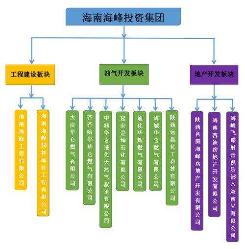 海南海峰投资集团是什么性质的企业？国有企业还是民营企业？还是中央企业？