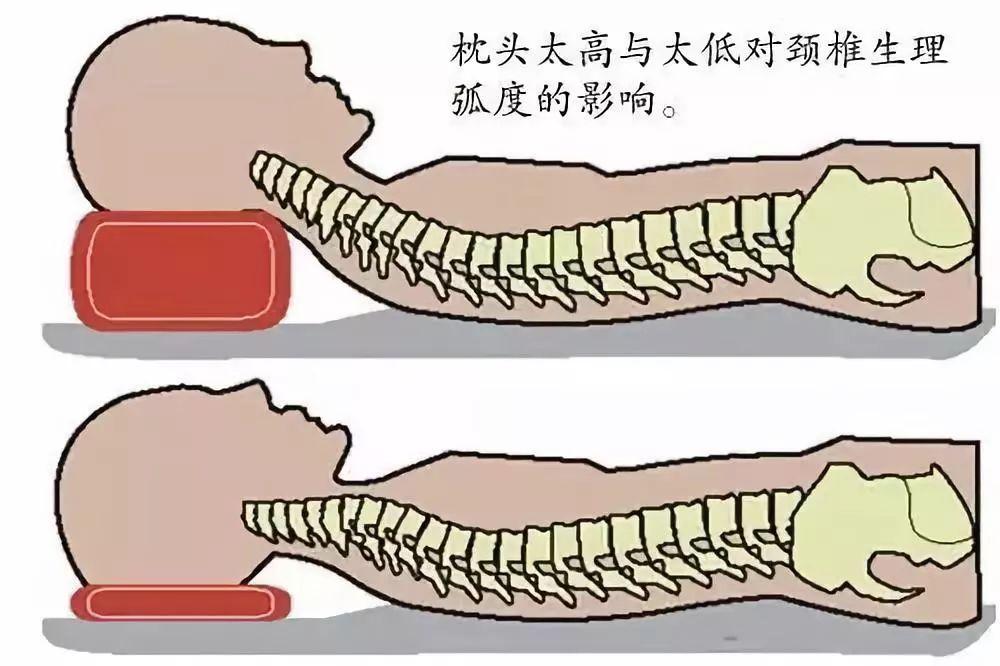 枕头高点好还是低点好？