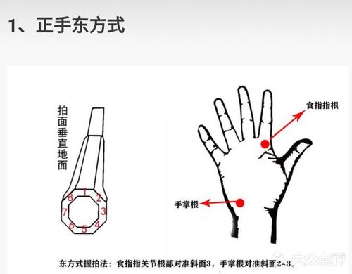 网球拍握法有哪些 网球拍握法的种类及特点