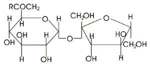 蔗糖酯的简介