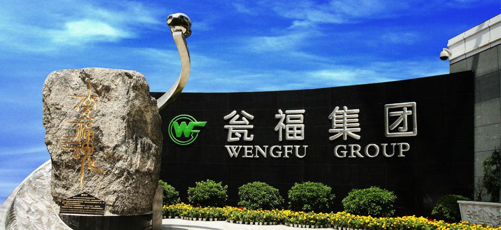 瓮福集团的介绍