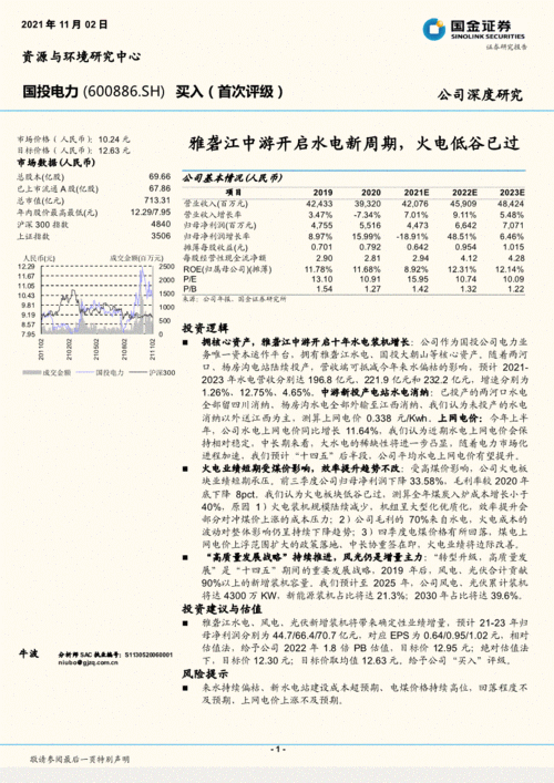 600886什么时候改名叫国投电力