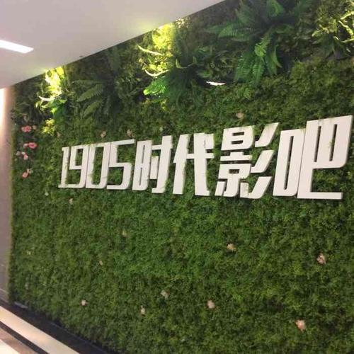 时代影吧看不了，为什么？