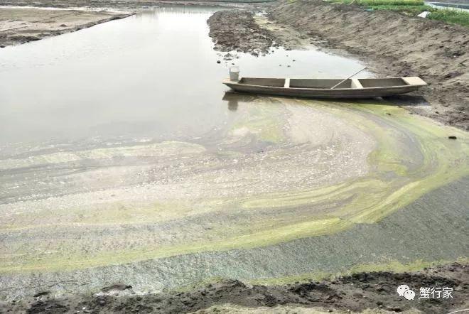 三苯氢氧化锡能用在蟹田吗？