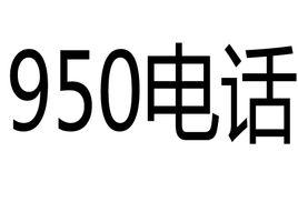 95013是什么电话