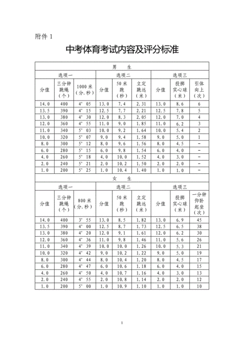 深圳体育中考标准2021