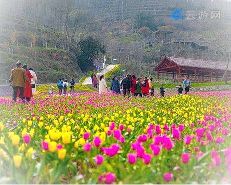 四季花海在哪，门票多少钱了