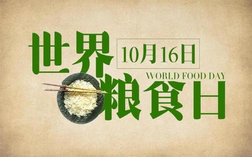 世界粮食日是每年的几月几日？