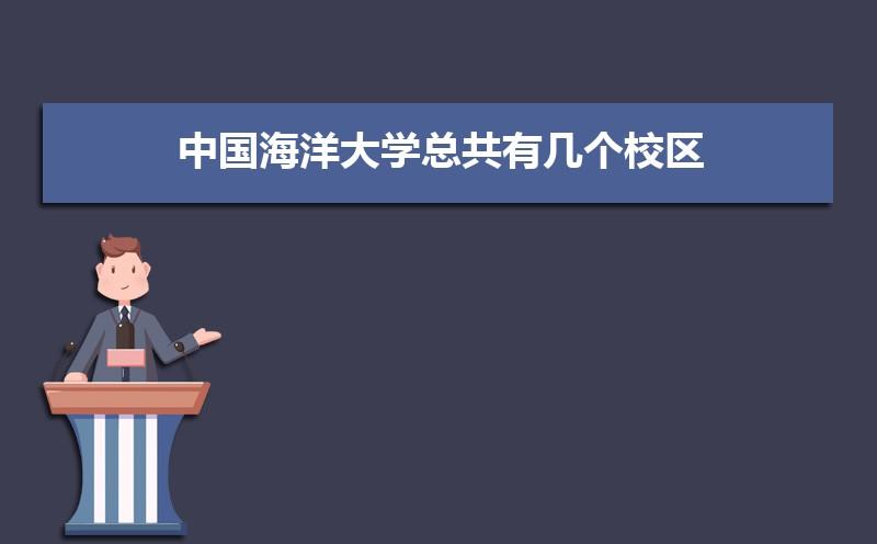 什么是文新，就是那个中国海洋大学里边的一个专业。偏向于文科的